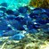 A school of fish underwater
